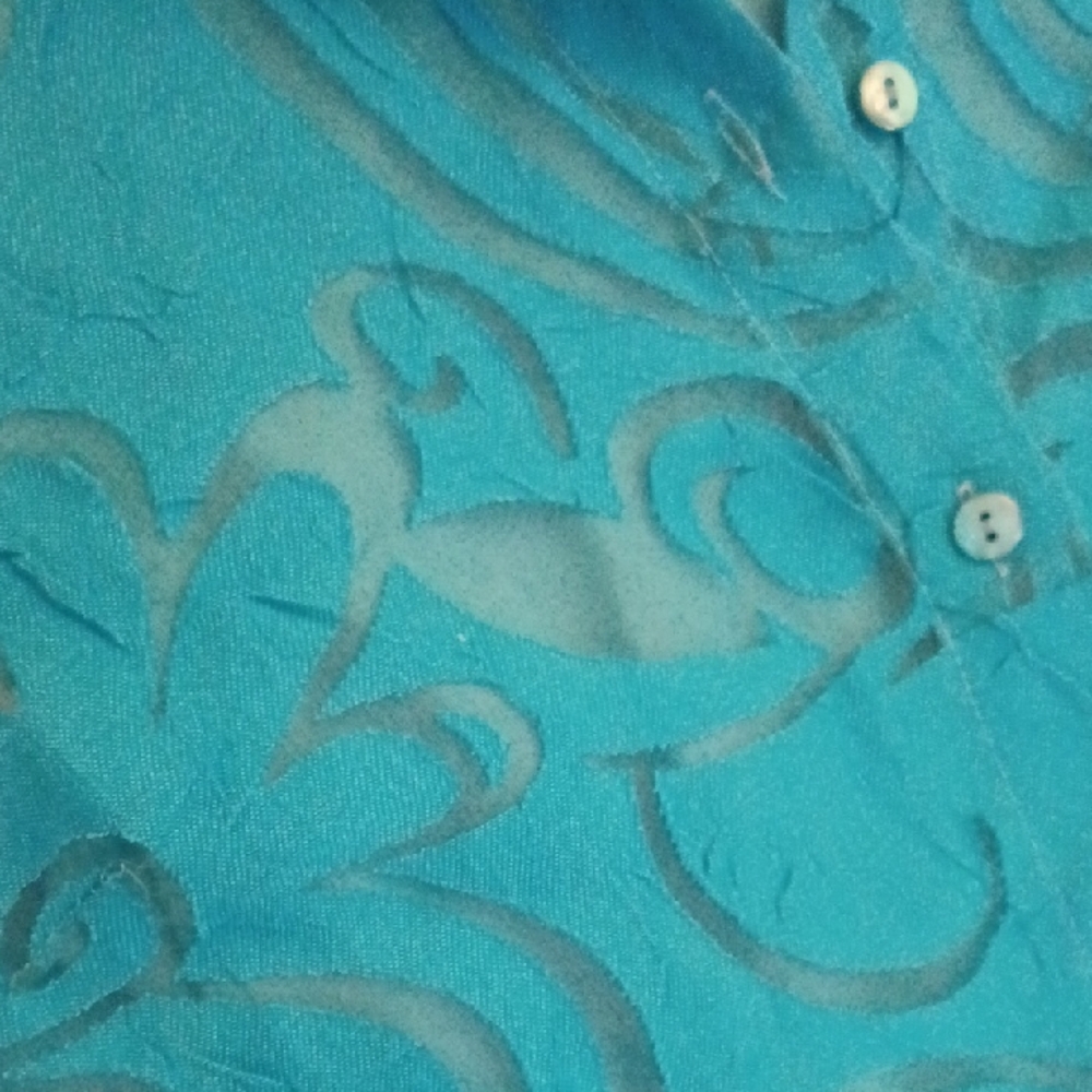 Notations Teal Sheer Button-Down Shirt With Matching Tank - Picture 3 of 10
